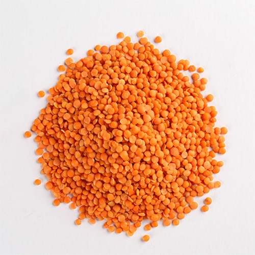 Premium Desi Moshur Dal (Red lentil)- প্রিমিয়াম দেশি মশুর ডাল ৫০০ গ্রাম